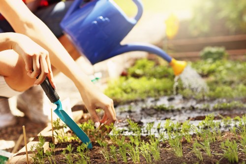 The image depicts a gardener tending to a small garden bed with young green plants, identified by their bright, healthy foliage, which appear to be newly planted. In the background, a person is watering the garden with a blue watering can, pouring water onto the soil around the plants. The garden bed is bordered by a low wooden edging, and the soil appears well-maintained, moist, and free of weeds. To the left, a garden fork or small hand tool is visible, held by a person's hand, indicating active cultivation or planting. The scene is set outdoors in a residential garden, framed by natural sunlight that illuminates the area with warm, natural light, suggesting a clear day with mild weather conditions. The overall layout shows a tidy, organized garden space with a mixture of freshly plantedbeds and clear pathways, suitable for gardening and landscaping services provided by Landscapers Golders Green, contributing to a lush, well-maintained outdoor environment in the Golders Green area of London.