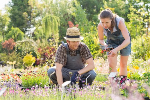 Inclusive design image for Landscapers Golders Green accessibility commitment