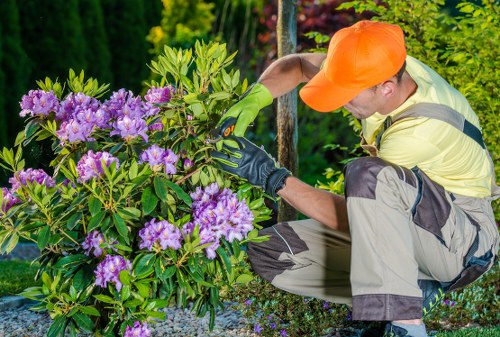 Choosing the right lawn mowing service in Golders Green