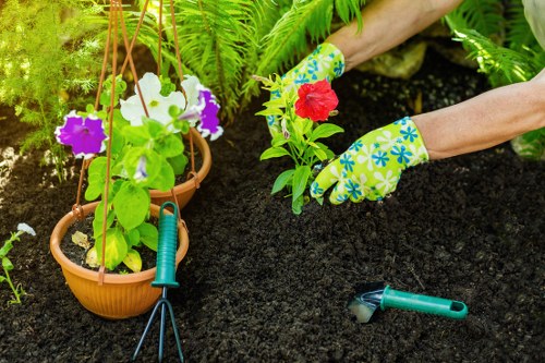 Professional garden clearance service in Golders Green
