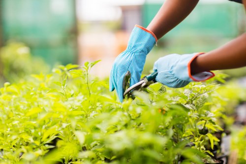 Team of landscapers reviewing ethical labour standards