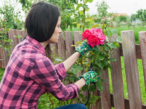 Flexible pricing for Landscapers Golders Green properties and clearances