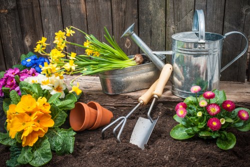 Essential garden maintenance tools arranged neatly