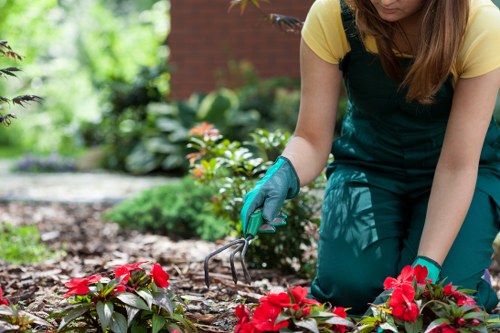 Risk-assessed landscaping clearance work carried out by an insured Golders Green team
