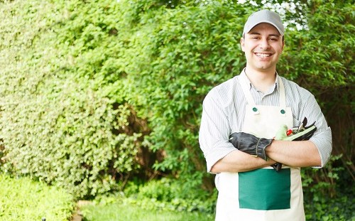 Site inspection during a landscaping complaint review