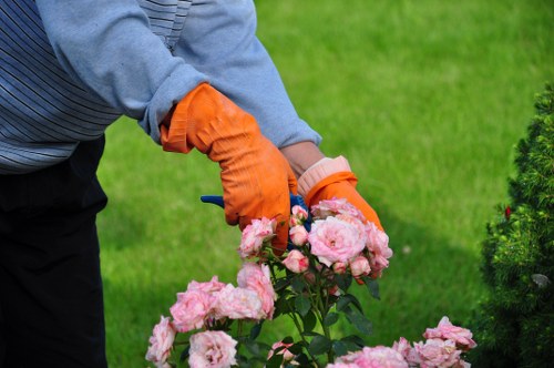 Seasonal hedge trimming techniques in a beautiful garden
