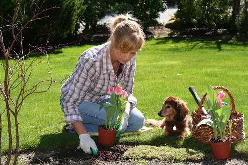 Professional landscaper designing a garden layout in Golders Green