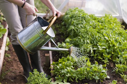 Local lawn care experts working in Golders Green