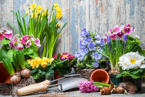 Eco-friendly garden clearance practices